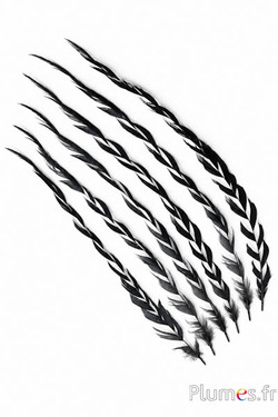 Hahn Ähre - 35-40 cm - schwarz-anthrazit